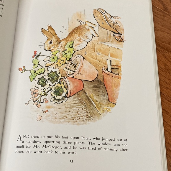 PETER RABBIT BASKET & BOOK BUNDLE ( free carrot plates!) - Picture 9 of 16